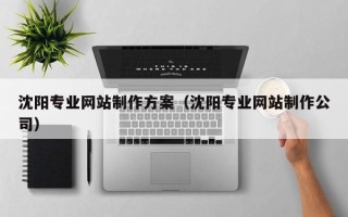 益阳沈阳专业网站制作方案（沈阳专业网站制作公司）